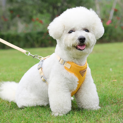 Puppy Harness Leash Set for Small Dogs - Smarsty