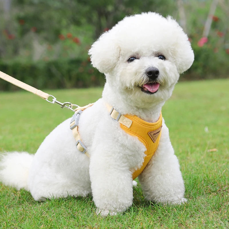 Puppy Harness Leash Set for Small Dogs - Smarsty