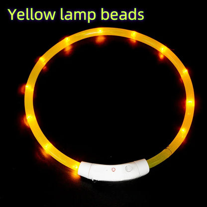 USB Rechargeable LED Dog Collar for Night Safety - Smarsty