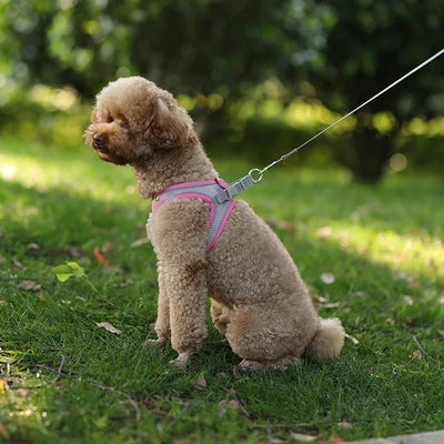 Adjustable Puppy Harness Set with Leash for Small Dogs - Smarsty