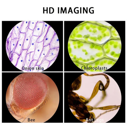Portable Handheld Mini Microscope for Kids - Smarsty