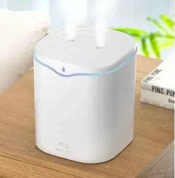 Large Capacity Dual Spray USB Humidifier for Home - Smarsty