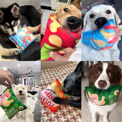 Funny Dog Crisps Squeaky Chew Toys for Small Pets - Smarsty