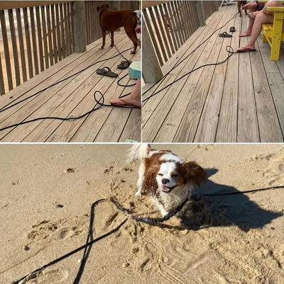 Heavy Duty Nylon Dog Leash for Training - Smarsty