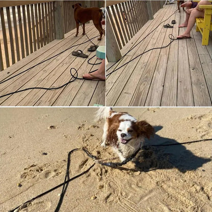 Heavy Duty Nylon Dog Leash for Training - Smarsty