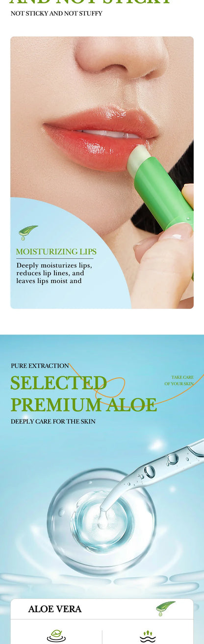 SADOER Aloe Lip Balm for Nourishing and Hydrating Lips - Smarsty