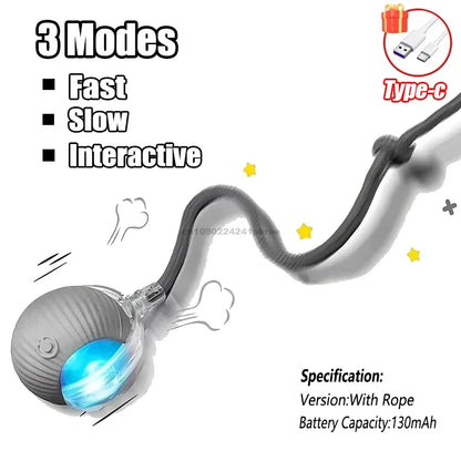 Automatic Rolling Cat Ball Toy with Rechargeable Faux Tail - Smarsty