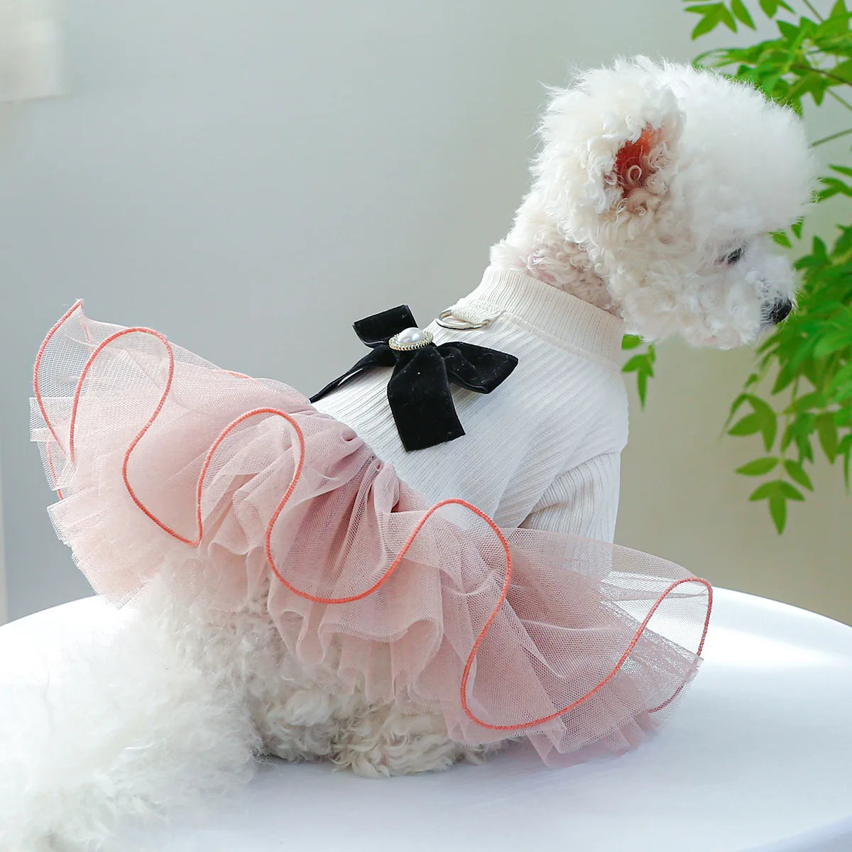 Spring Summer Tutu Dress for Dogs and Cats - Smarsty