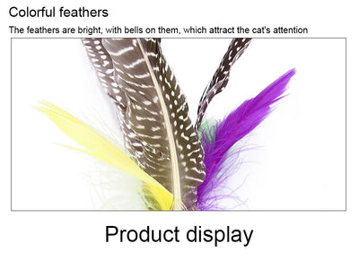 11pcs Replacement Cat Feather Toy Set Feather Replacement Head Retractable Cat Stick Cat Products - Smarsty