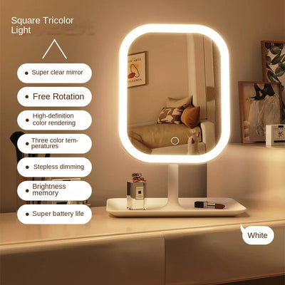 Niche Modern LED Makeup Mirror with Three Color Light - Smarsty