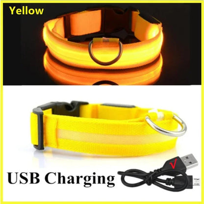 LED Glowing Dog Collar Adjustable Rechargeable Night Safety - Smarsty