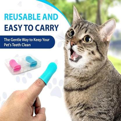 Interactive Cat Toy for Engaging Playtime and Training - Smarsty