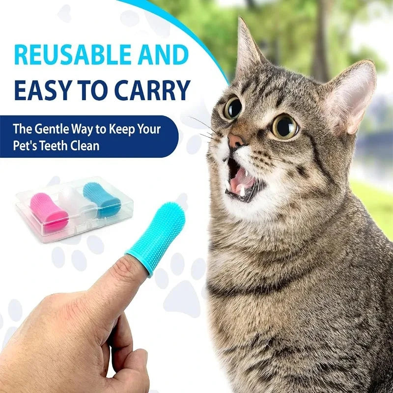 Interactive Cat Toy for Engaging Playtime and Training - Smarsty