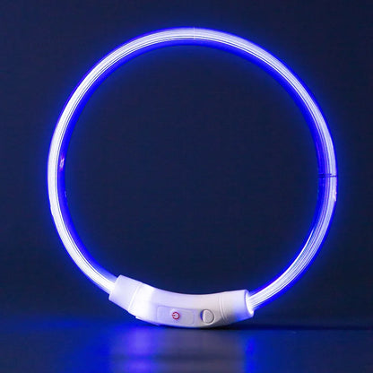 USB Rechargeable LED Dog Collar for Night Safety - Smarsty