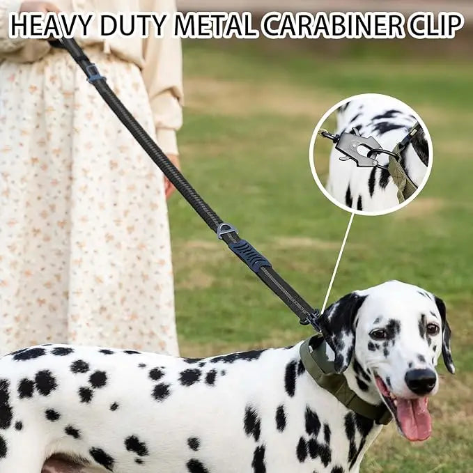 Reflective Bungee Dog Leash with Car Seatbelt Attachment - Smarsty