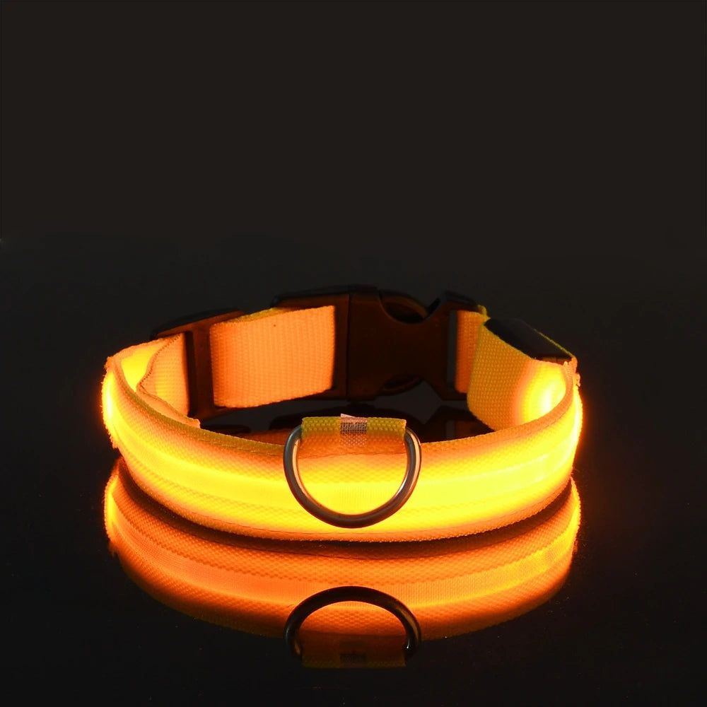Nylon LED Glow In The Dark Dog Leash - Smarsty