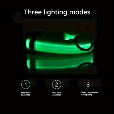 Nylon LED Dog Leash for Night Safety - Smarsty