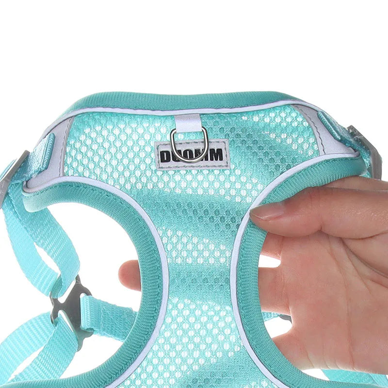 Reflective Dog Harness Leash Set for Outdoor Safety - Smarsty