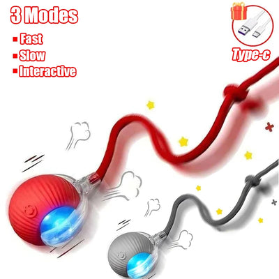 Interactive Rechargeable Cat Toy Ball With Faux Tail - Smarsty