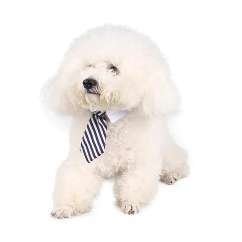 Adjustable Pet Bow Tie Necktie for Dogs and Cats - Smarsty