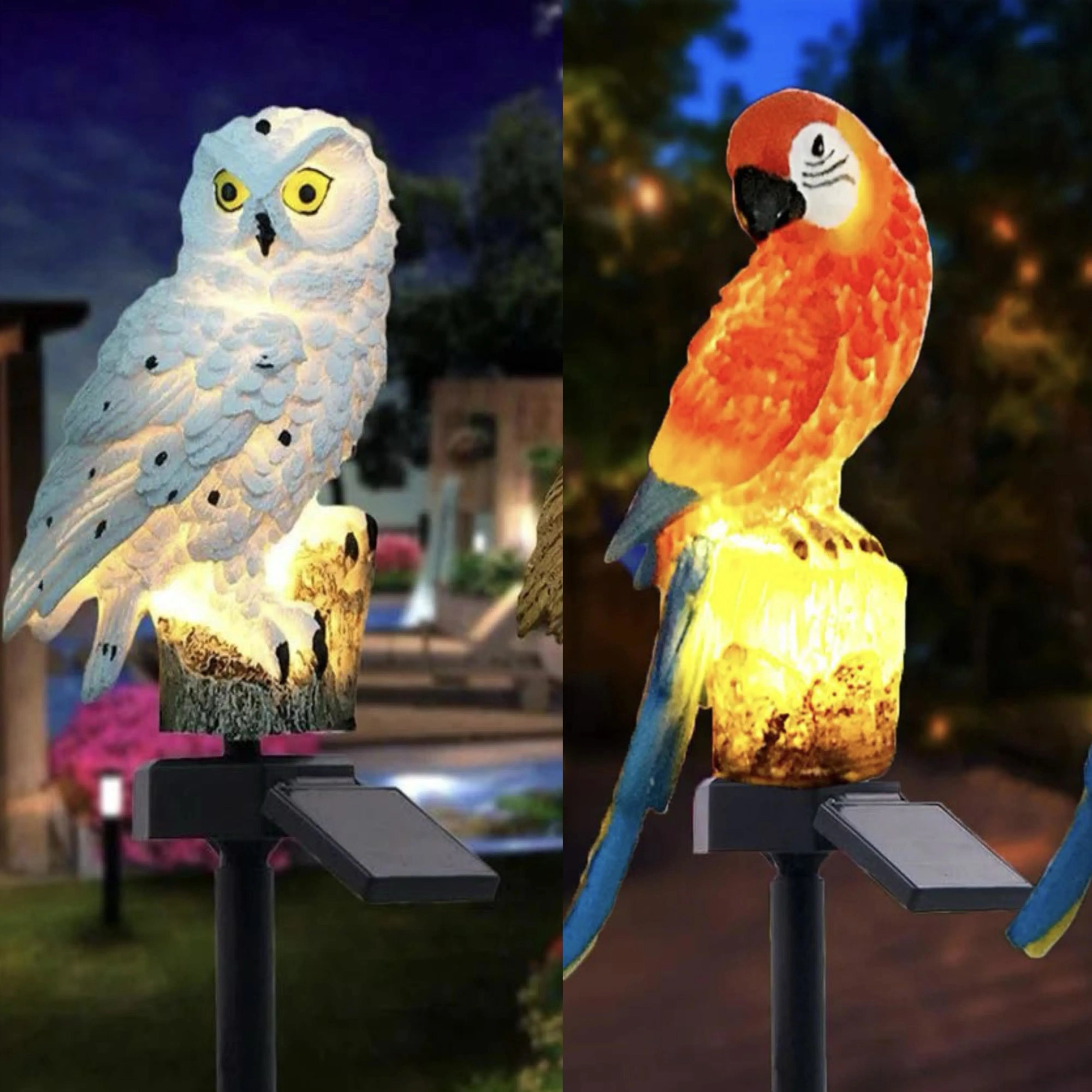 Solar Garden Owl and Parrot Lights Waterproof LED - Smarsty