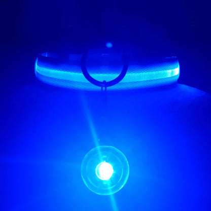 USB Charging Bright LED Dog Collar for Night Safety - Smarsty