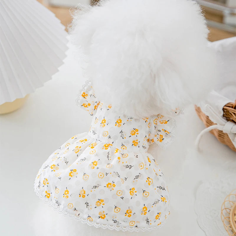Luxury Strawberry Dog Dress for Spring and Summer - Smarsty