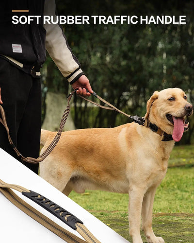Reflective Bungee Dog Leash with Car Seatbelt Attachment - Smarsty