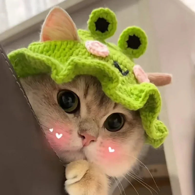 Cute Frog Cat Hat with Bunny Ears for Fun Costumes - Smarsty