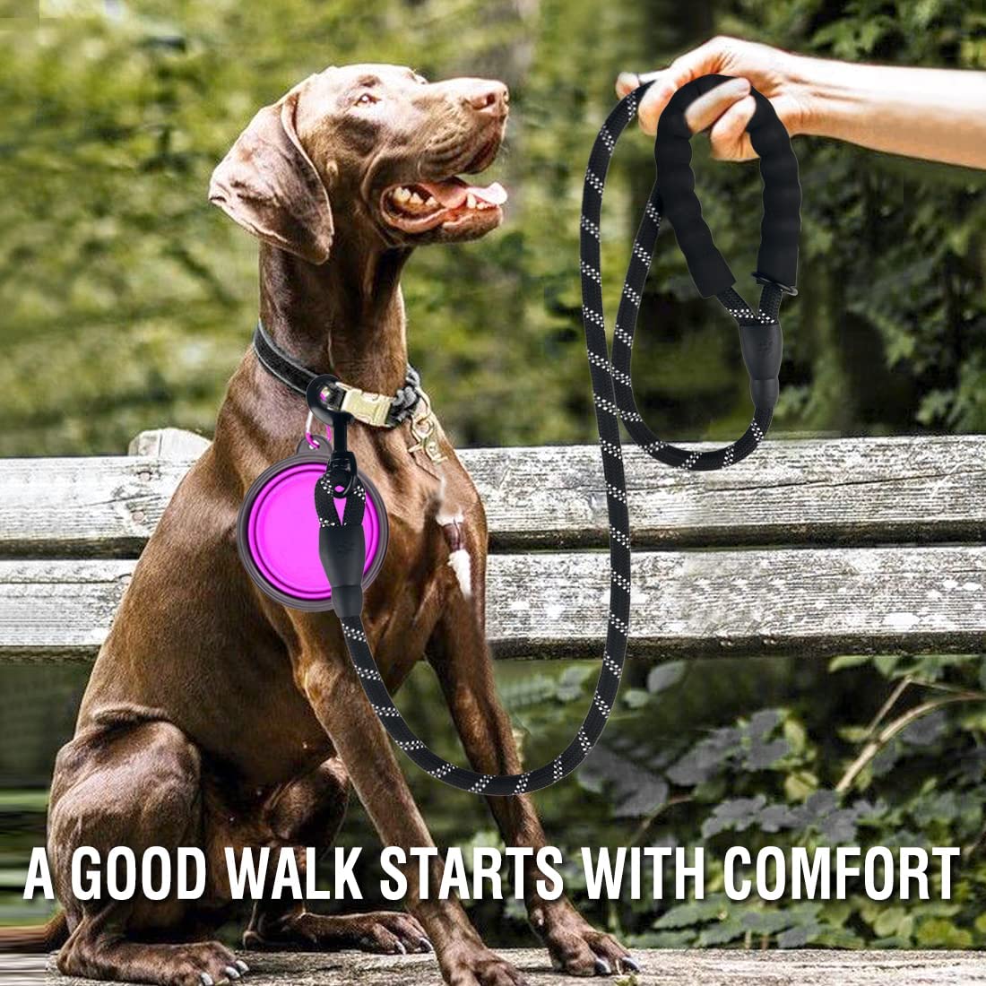 Reflective Dog Leash for All Sizes with Breakaway Feature - Smarsty