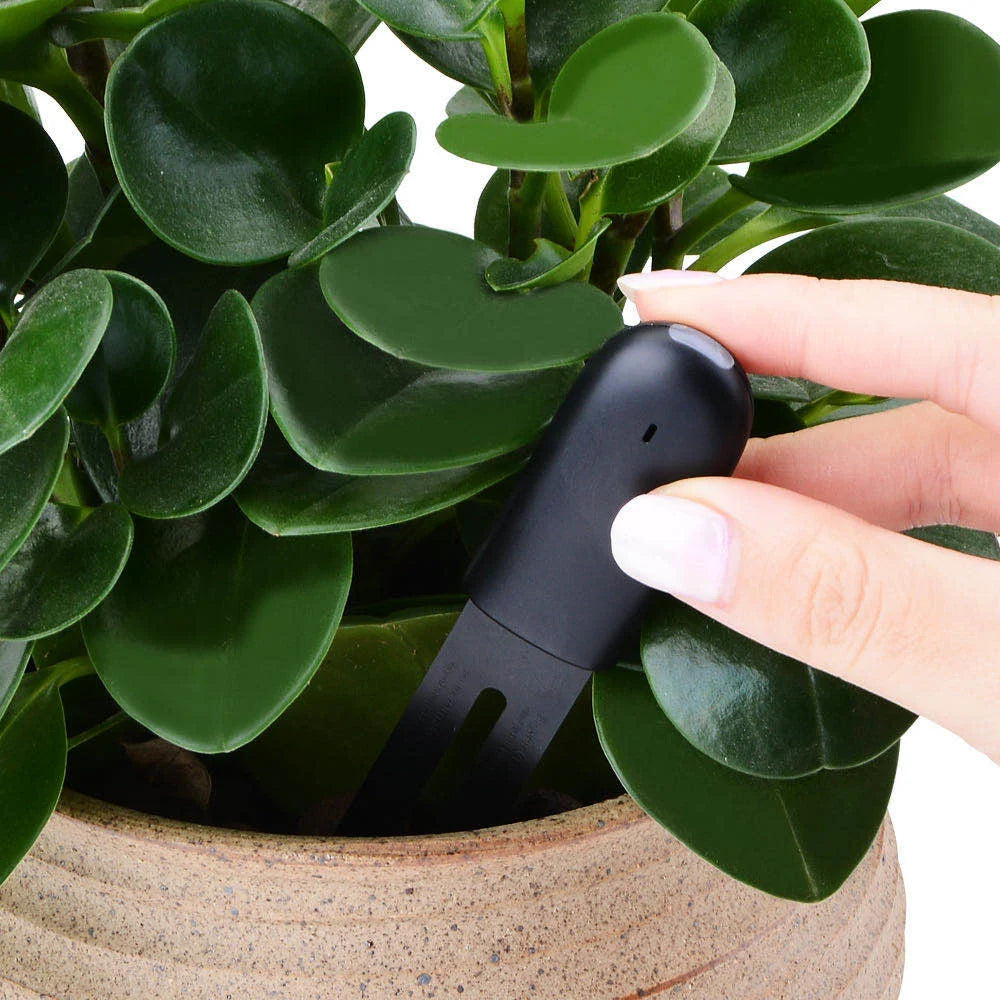 Smart Soil Water Tester for Healthy Plants - Smarsty