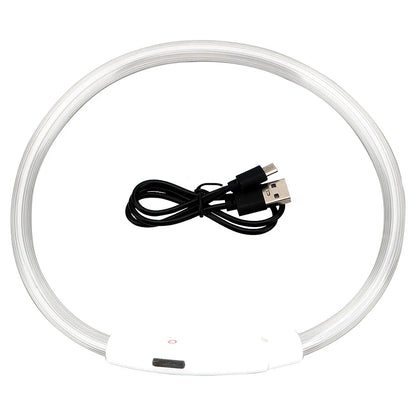 LED USB Dog Collar for Night Safety and Visibility - Smarsty