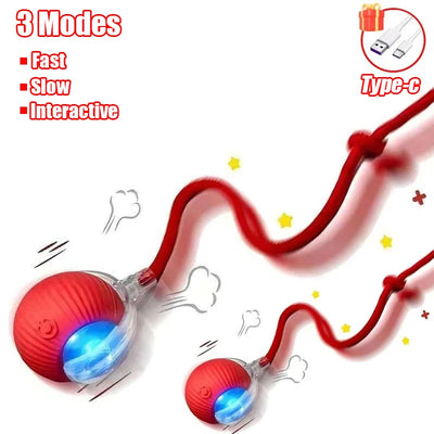 Interactive Rechargeable Cat Toy Ball With Faux Tail - Smarsty