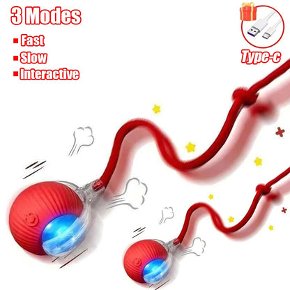 Interactive Rechargeable Cat Toy Ball With Faux Tail - Smarsty