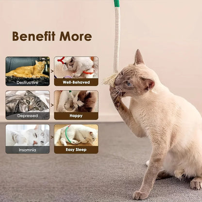 Cotton Cat Chew Toy for Teeth Cleaning - Smarsty