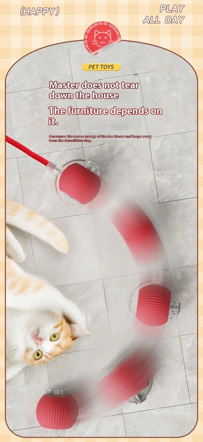 Rechargeable Cat Interactive Rolling Ball Toy Set - Smarsty