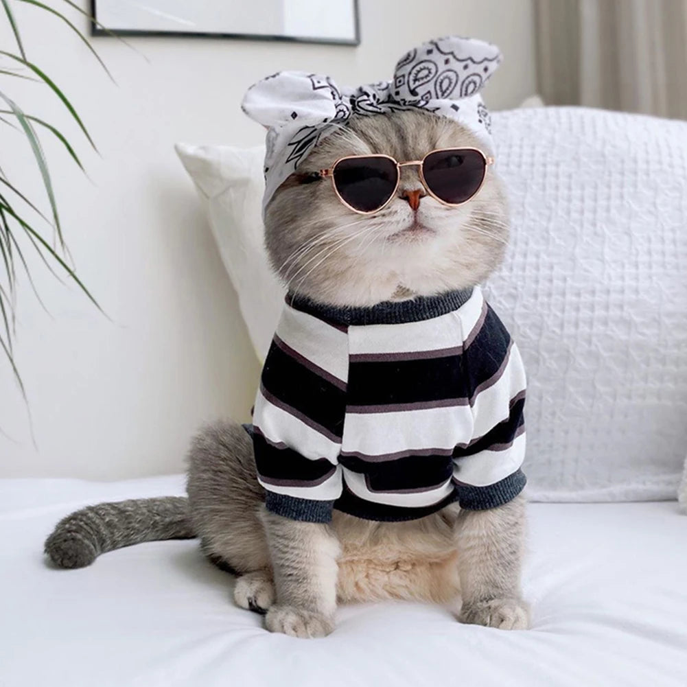 Vintage Round Dog Sunglasses for Stylish Pet Photos - Smarsty