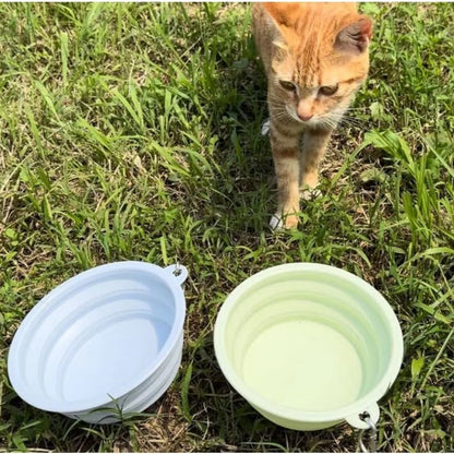 Collapsible Silicone Dog Bowls for Travel and Camping - Smarsty