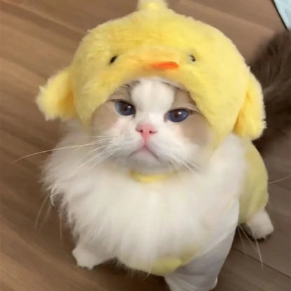 Playful Cat Headpieces for Stylish Pet Fashion - Smarsty