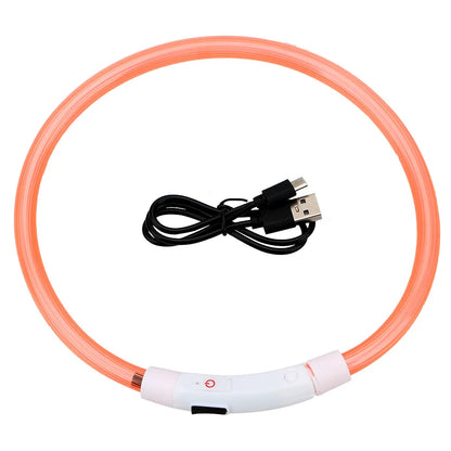 LED USB Dog Collar for Night Safety and Visibility - Smarsty