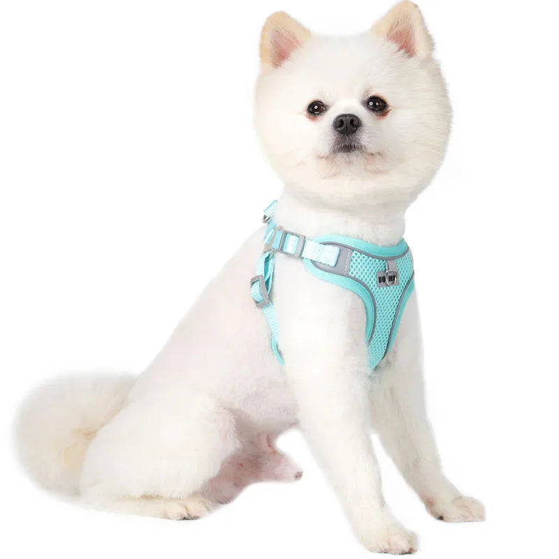 Reflective Dog Harness Leash Set for Outdoor Safety - Smarsty