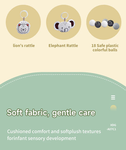 Baby Play Gym Mat With Rack For Tummy Time Crawling - Smarsty