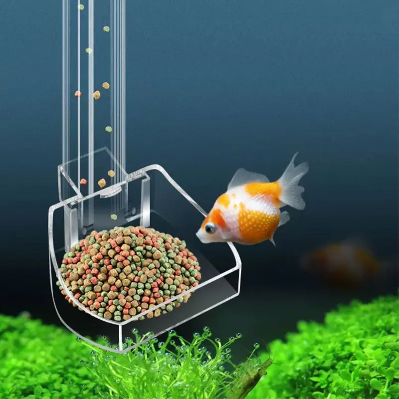 Transparent Acrylic Aquarium Fish Feeder Tube Design - Smarsty