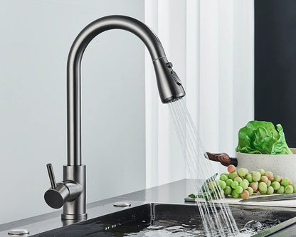 Rozin Chrome Kitchen Faucet with Pull Out Sprayer - Smarsty