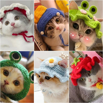 Cute Frog Cat Hat with Bunny Ears for Fun Costumes - Smarsty
