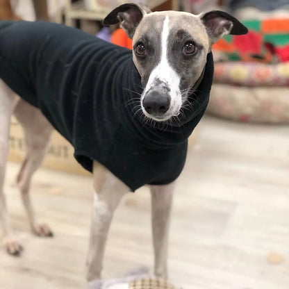 Winter Fleece Dog Vest for Italian Greyhounds - Smarsty