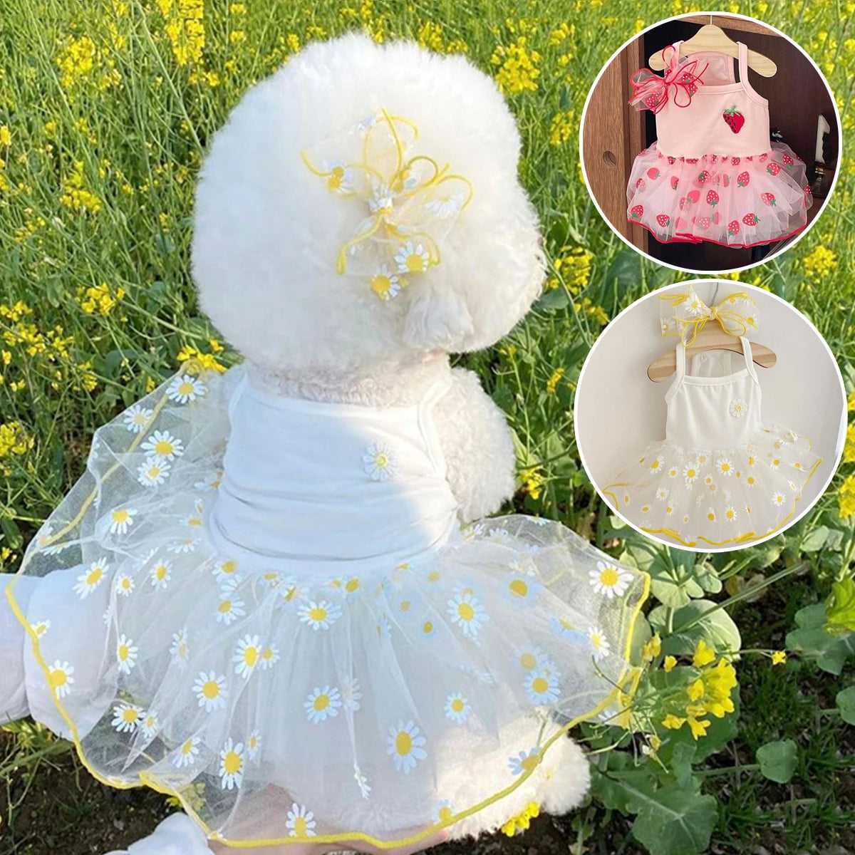 Thin Puppy Princess Skirt for Small Dogs - Smarsty