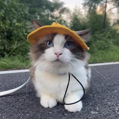 Cute Cat Dog Sun Hat with Ear Hole for Outdoor Fun - Smarsty