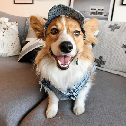 Denim Dog Jacket with Stylish Holes for All Seasons - Smarsty