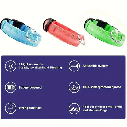 Nylon LED Glow In The Dark Dog Leash - Smarsty